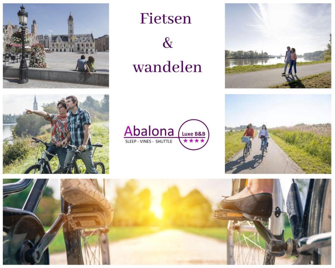 Abalona Hotel & Apartments Dendermonde Eksteriør bilde